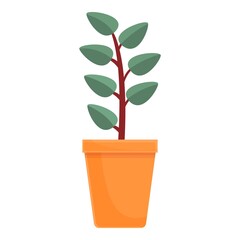 Cozy home plant pot icon. Cartoon of cozy home plant pot vector icon for web design isolated on white background