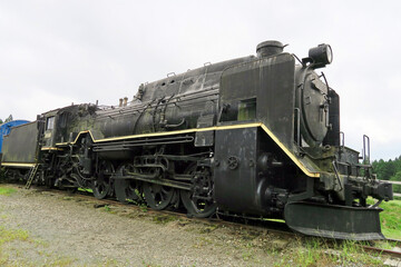 Obraz na płótnie Canvas D51形式蒸気機関車（小岩井農場）