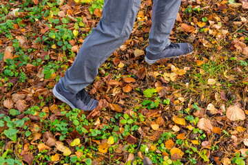 Male legs walking in Woods. Man on fast walking recreation outdoors on a forest footpath