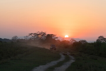 Fototapeta na wymiar Jeep Safari during sunset on forest trail of Kaziranga National Park, Assam, Northeast India