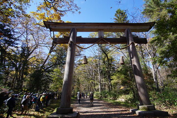 The torii gate at the entrance to the historic shrine. Japanese landscape. A road lined with big trees.