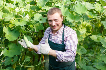 Portrait of man horticulturist in apron working with marrow seedlings in garden