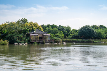 Fototapeta na wymiar Landscape by the lake in the park