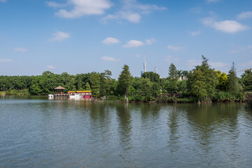 Fototapeta na wymiar Landscape by the lake in the park