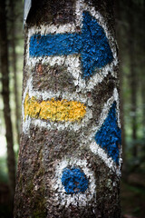 Touristic markings of various forms