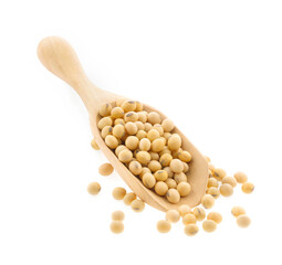 soy beans isolated on white background