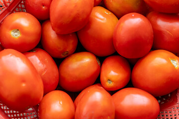 fresh tomatoes in market natural lighting
