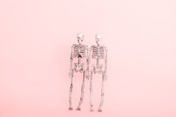 cute couple of skeletons a pink background