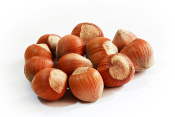  Hazelnuts isolated on white background.  Studio shot.
