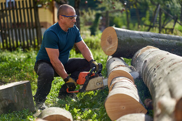 Lumberjack sawing beech logs