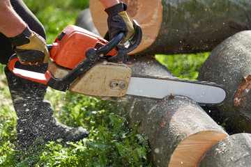 Lumberjack sawing logs