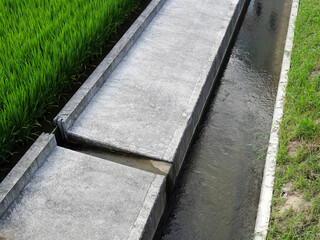 整備された農業用水路
