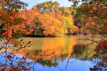 紅葉の水の森公園