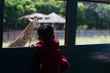 A young boy looking giraffe through bus window at  zoo.