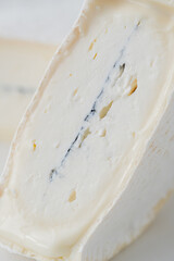 traditional cheese with white and blue mold in the section