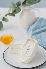 traditional cheese with white and blue mold in the section. Large pieces of sliced cheese on a light table