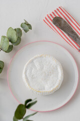 traditional artisan cheese with white mold on the white table