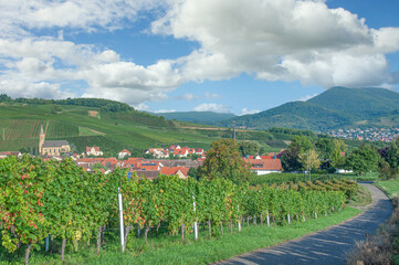 Fototapeta na wymiar Weinort Birkweiler in der Pfalz,Südliche Weinstrasse,Deutschland