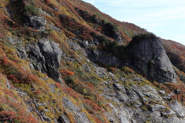 Fototapeta na wymiar 群馬県白毛門の稜線から見る”紅葉の絨毯” (秋/紅葉)