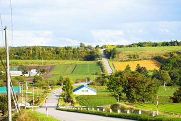 北海道の道の有る風景