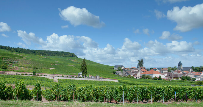 Weinort Oger in der Champagne region bei Epernay,Frankreich