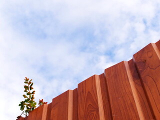 Sky and fence for background