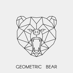 Abstract polygonal the head of a bear. Geometric linear animal. Vector.	
