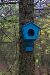 blue birdhouse on a tree trunk in the autumn forest