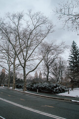 Foto de Central Park nevado, Nueva York