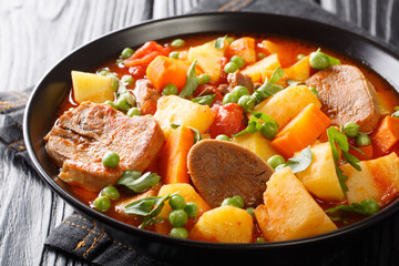 Delicious beef tongue stew with seasonal vegetables in tomato sauce close-up in a bowl on the table. horizontal