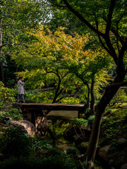 Naklejka premium 池のある、秋の日本の伝統的な庭園の風景