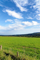 Fototapeta na wymiar Landscape over the fields - County Durham