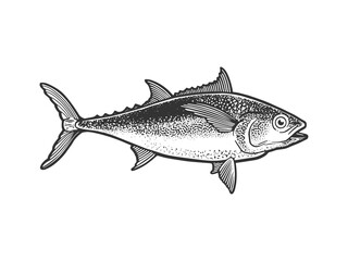 Tuna tunny fish sketch engraving vector illustration. T-shirt apparel print design. Scratch board imitation. Black and white hand drawn image.