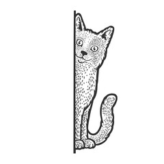 cat peeking from the corner sketch engraving vector illustration. T-shirt apparel print design. Scratch board imitation. Black and white hand drawn image.