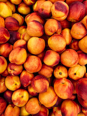 lots of ripe sweet peaches for eating as a background