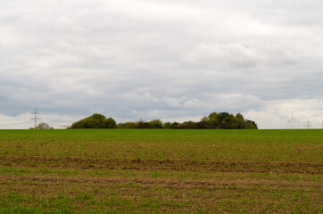 Fototapeta na wymiar Landscape with Field