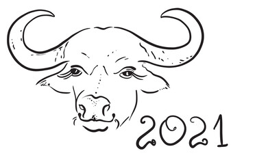 The bull is a symbol of 2021 according to the eastern calendar, graphics