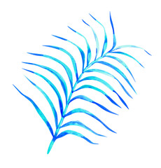 coconut palm leaf isolated on a white background, decorative blue branch of a tropical plant painted in watercolor