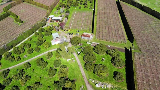 Homestead in New Zealand surrounded by farmland filled with fruit plants, aerial