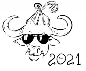 The bull is a symbol of 2021 according to the eastern calendar, graphics. Hipster bull with fashionable hairstyle and glasses. Vector graphics.