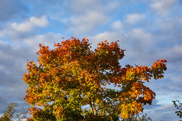 herbst stimmung