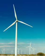 Molinos de Viento
