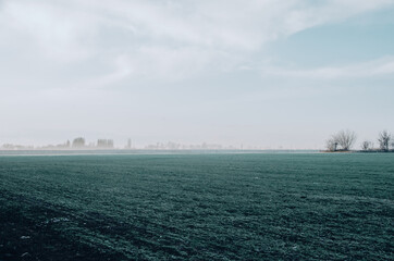 Green autumn field covered with hoarfrost in cold foggy morning