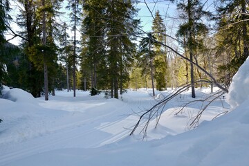 Winter in den Bergen - Skilanglauf