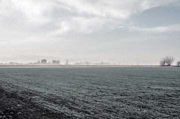 Green autumn field covered with hoarfrost in cold foggy morning