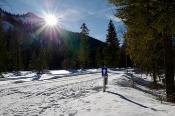 Winter in den Bergen - Loipe