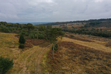 Aerial View Of Ashdown Forest - Sussex
