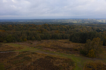 Fototapeta na wymiar Aerial View Of Ashdown Forest - Sussex