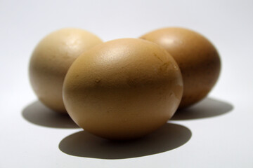 Close up egg on white background