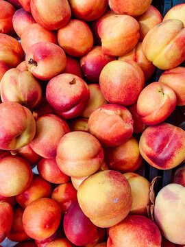 lots of ripe sweet nectarines to eat as a background